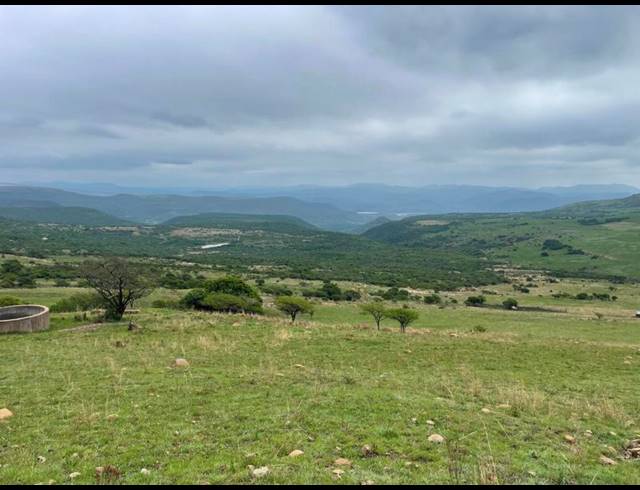 FARM FOR SALE IN GREYTOWN